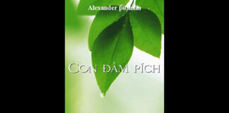 Con Đầm Pích