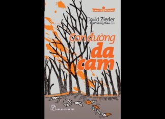 Con Đường Da Cam