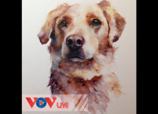 Con Thú Bị Ruồng Bỏ