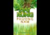 Đất Rừng Phương Nam